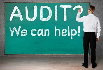 Audit Assistance