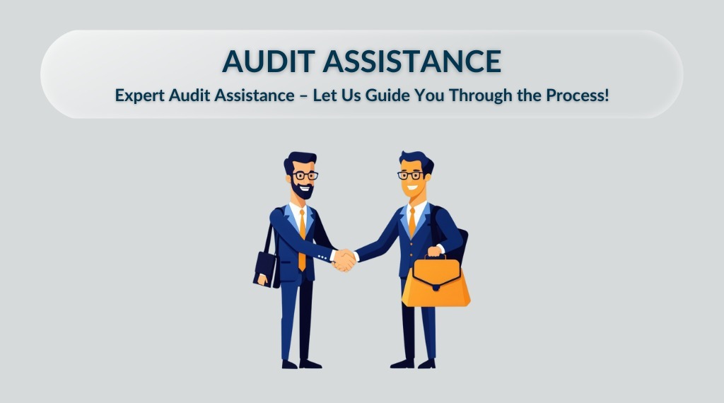 Audit Assistance